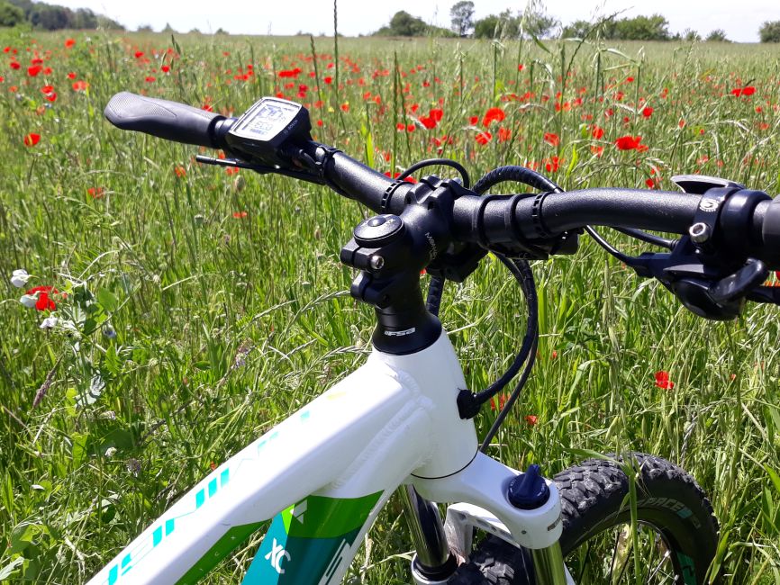 VTT et coquelicots