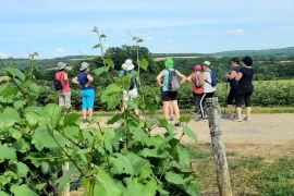 Randonnée et vue sur les vignes