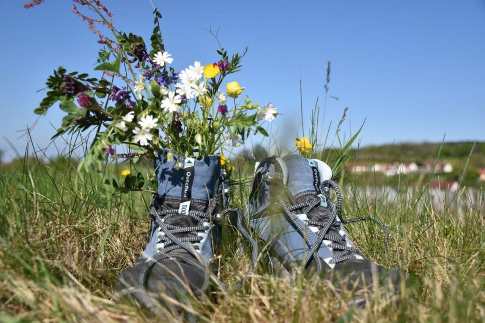 fleurs et chaussures randonnées