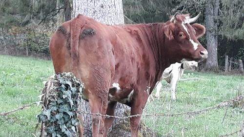 Accès interdit au circuit des pelouses
