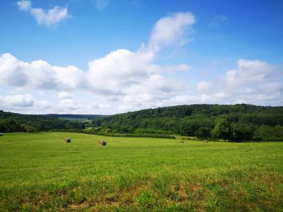 Les paysages des monts de Gy